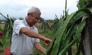 Cựu chiến binh Lường Trung Lập  làm kinh tế giỏi